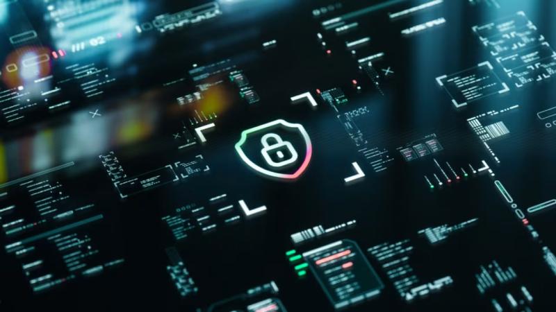翁源县软件开发公司